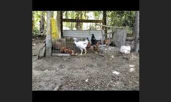 Imagem 6: Mini sítio aceito oferta a vista