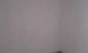 Imagem 6: Casa para locação na urbis IV