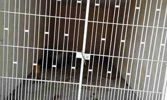 Imagem 5: Casa Independente para Alugar no Bonfiglioli