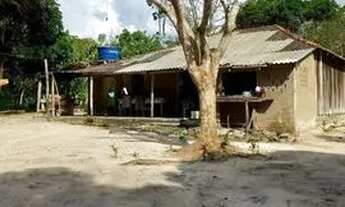 Imagem: Chácara com igarapé