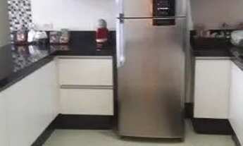 Imagem 5: Vendo urgente Casa com 3 dormitórios