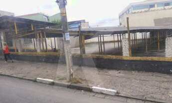 Imagem 3: Terreno 1.200 m² Para construção de edifício