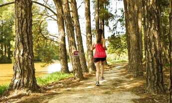 Imagem 4: Casa com 5 dormitórios à venda, 550 m² por R$ 8.800.000,00 - Condomínio Terras de São José