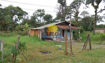 Imagem 4: MATINHOS - Casa Padrão - Santa Etiene