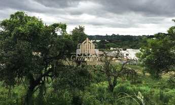 Imagem 6: Terreno - Abranches