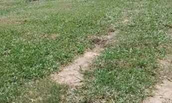 Imagem: Sítio de 2 hectares