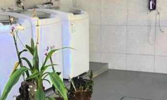 Imagem 7: Kitnet/conjugado para aluguel tem 31 metros quadrados com 1 quarto em Setor Bueno - Goiâni