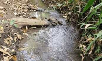 Imagem 2: Chácara Aparecida de Goiânia codigo: 22981