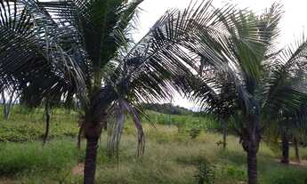 Imagem 2: Fazenda á venda com 96,25 hectares