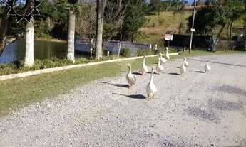 Imagem 6: CHÁCARA IBIUNA Fazenda / sítio com venda por R$980.000