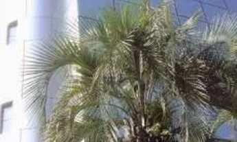 Imagem 4: Conjunto para alugar, 362 m² por R$ 43.237,50 - Itaim Bibi - São Paulo/SP