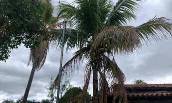 Imagem 4: Sitio de 600m² com casa, próximo a Lagoa Santa, temos varias opções