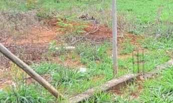 Imagem 5: 06 LOTES MARQUES INDUSTRIAL REGIÃO DE DE IGARAPÉ