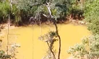 Imagem 5: Chácara 20.000 m², plano, riacho nos fundos, terra fértil. Jaboticatubas