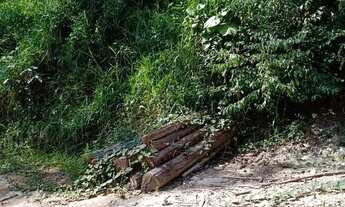 Imagem 5: Sítio de 8,5 alqueires em Paraibuna - SP