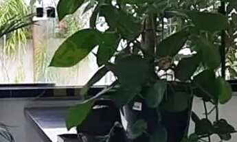 Imagem 2: Casa em Condomínio para Locação em Camaçari, Alphaville (Abrantes), 4 dormitórios, 4 suíte