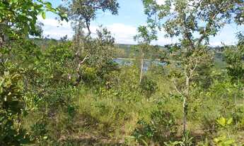 Imagem 3: Lote três marias