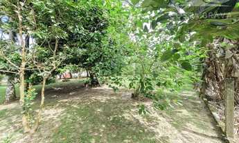 Imagem 4: Bela Chácara com Casa em alvenaria!