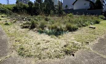 Imagem 4: Terreno Sanvitto Caxias do Sul