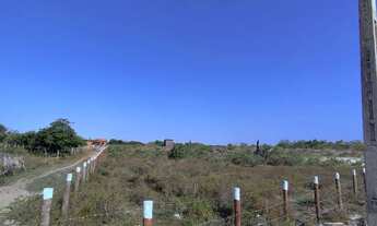 Imagem: Vendo TERRENO em SANTO AMARO-MA