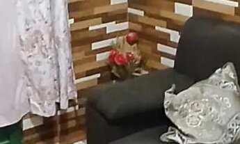 Imagem: Vende-se três casas