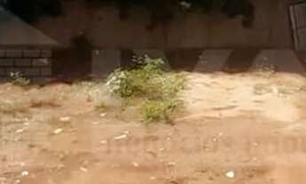 Imagem 2: Terreno à Venda