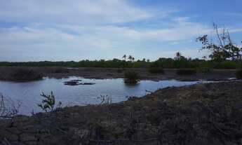 Imagem 3: Vendo Ilha no São Francisco - Próximo a Piaçabuçu