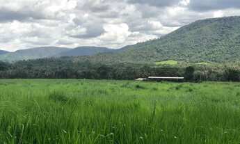 Imagem 3: Segura peão, que ótima fazenda