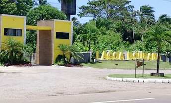 Imagem 7: Alugo casa na ilha