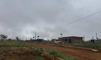 Imagem 6: Lote cana do reino