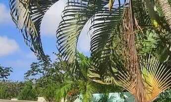 Imagem: Casa,tipo Granja