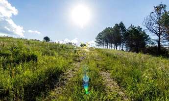 Imagem 6: Área São Luiz do Purunã - Witmarsum 31alq BR 376