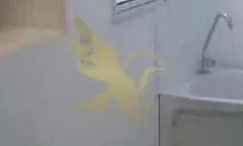 Imagem 4: Apartamento de 43m² á venda, 2 quartos, localizado no Jardim Garcia