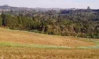 Imagem 3: FUJA DO CAUS DA CIDADE , VENHA MORAR NO CAMPO , TERRENO A VENDA
