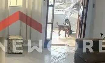 Imagem 3: Casa em Rua Aurélio Duarte - Vila Nove de Julho - Bauru/SP