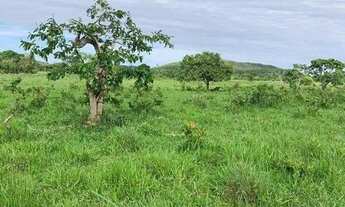 Imagem 2: Excelente Fazenda para cria e engorda de gado com 934 hectares à venda no município Unaí