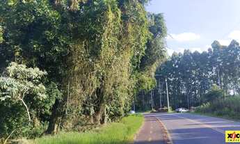 Imagem 2: Sítio / Chácara para Venda em Nova Petrópolis, Canto Ruckert