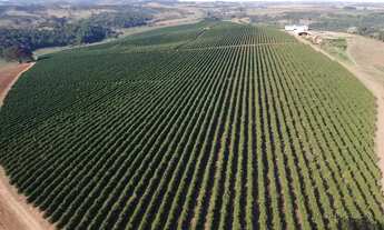 Imagem 6: Linda fazenda para venda em Três Corações - MG