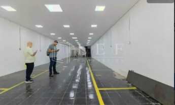 Imagem 6: AV Rangel Pestana, Brás