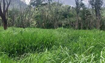Imagem 4: Segura peão, que ótima fazenda