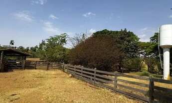 Imagem 3: Fazenda à venda 47 alq de cultura em Itauçu-GO