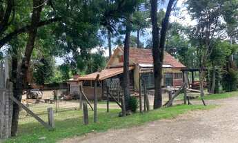 Imagem 4: Terreno - Bairro São José