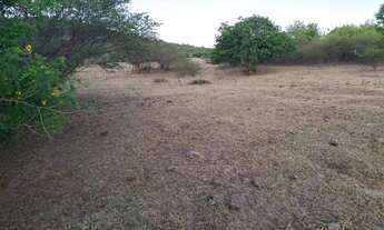 Imagem 4: Sítio para Venda em Palmeira dos Índios, Palmeira de Fora, 3 dormitórios, 1 suíte, 1 banhe