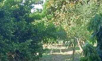 Imagem 4: Chácara com 3 quartos à venda, 48400 m² por R$ 1.370 - Vila Sao Jose - Jaraguá/GO