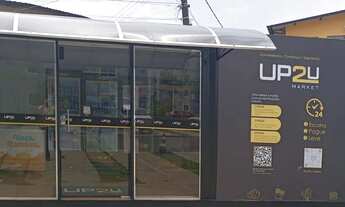 Imagem 4: Vista do Sol Lírio do Vale