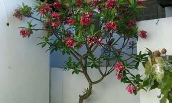 Imagem 2: Excelente Casa Independente Cabo Frio Perto do Mar