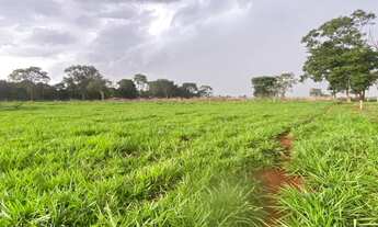 Imagem: Chácara entre Goiânia e Nerópolis