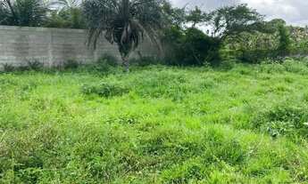 Imagem 2: Vendo Terreno na principal da Mantiba