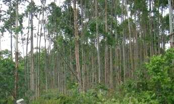 Imagem 5: Apartamento para Venda - 120m², 1 dormitório, 1 vaga - Centro Novo