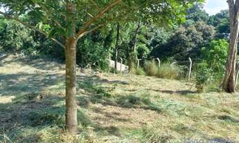 Imagem 3: TERRENO - VISTA ALEGRE - SP